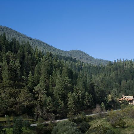 Bosques De Monterreal Hotel San Antonio de las Alazanas Ngoại thất bức ảnh