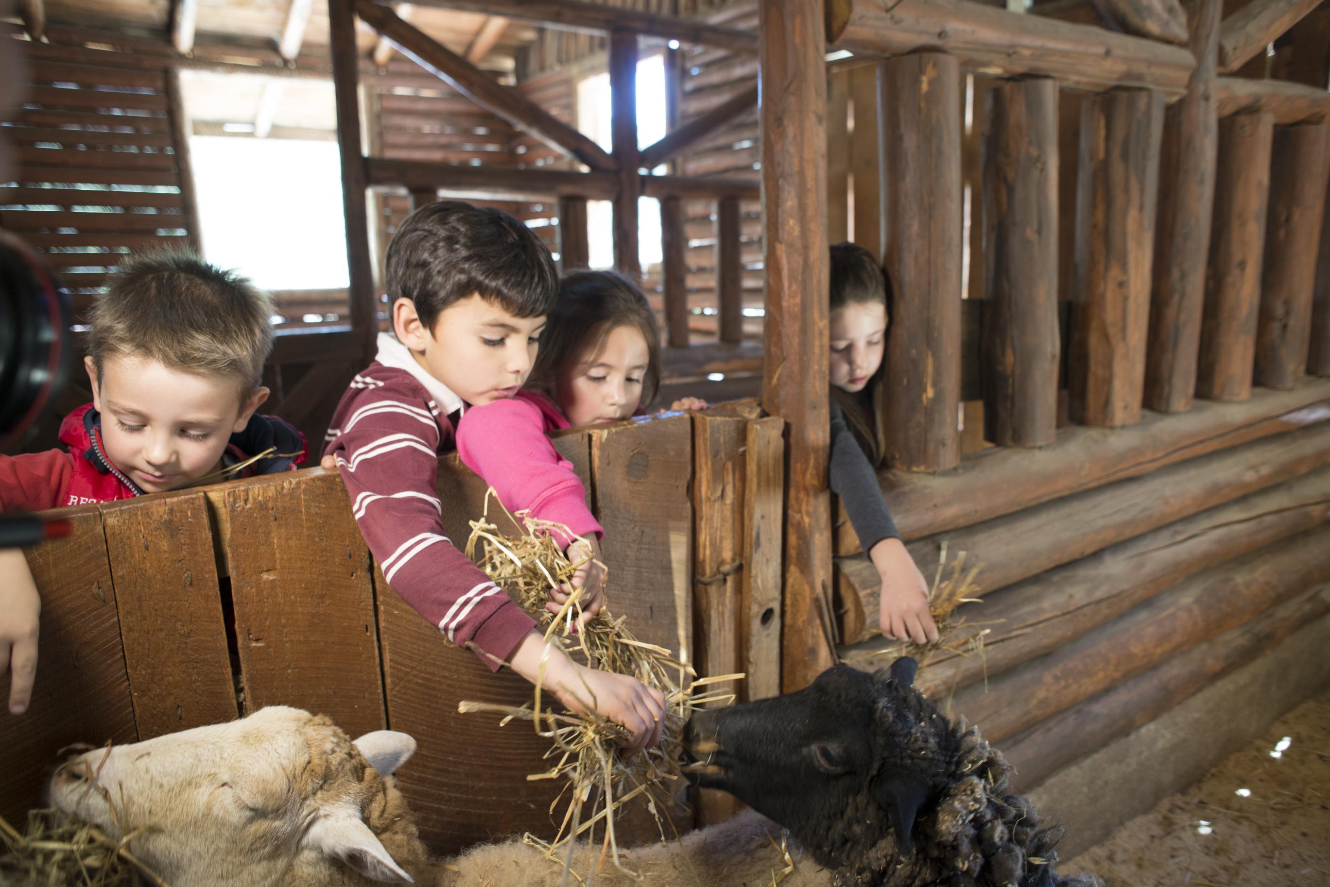 Bosques De Monterreal Hotel San Antonio de las Alazanas Ngoại thất bức ảnh