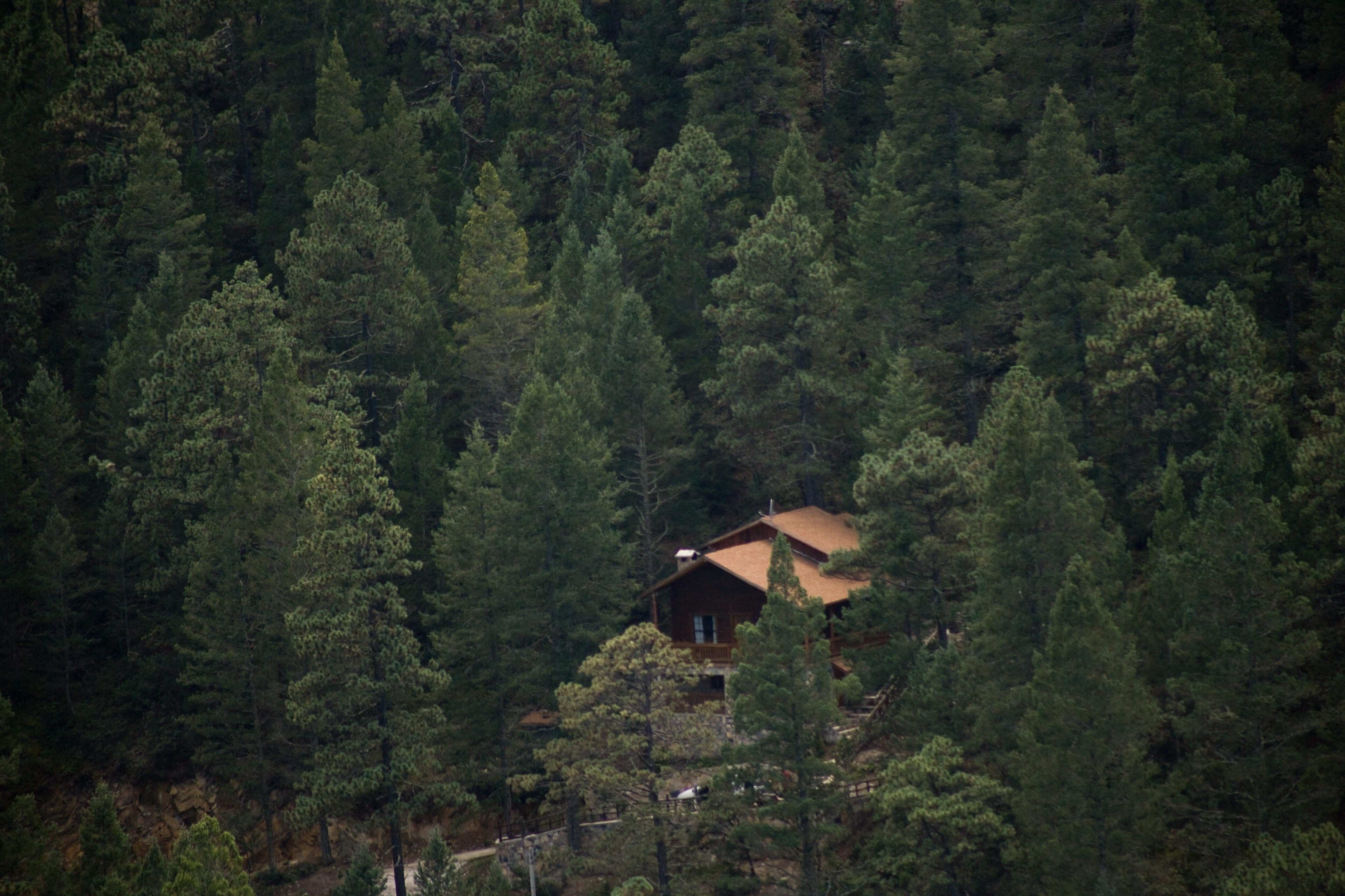 Bosques De Monterreal Hotel San Antonio de las Alazanas Ngoại thất bức ảnh
