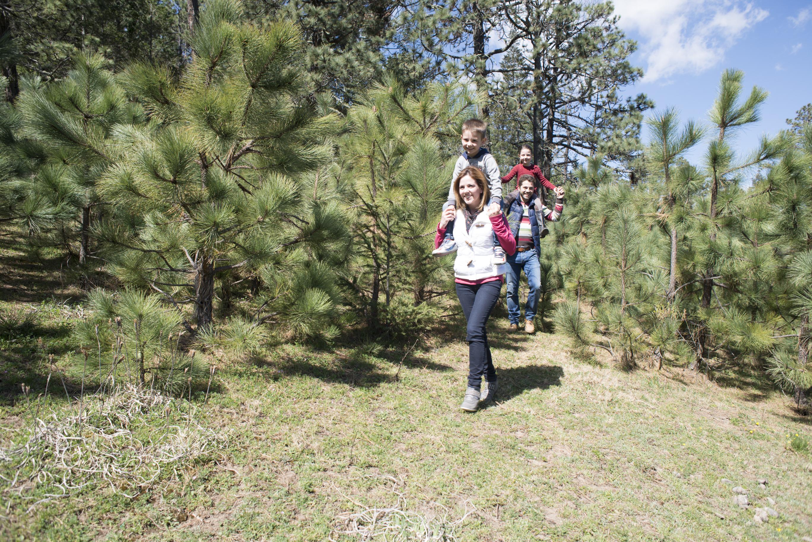 Bosques De Monterreal Hotel San Antonio de las Alazanas Ngoại thất bức ảnh